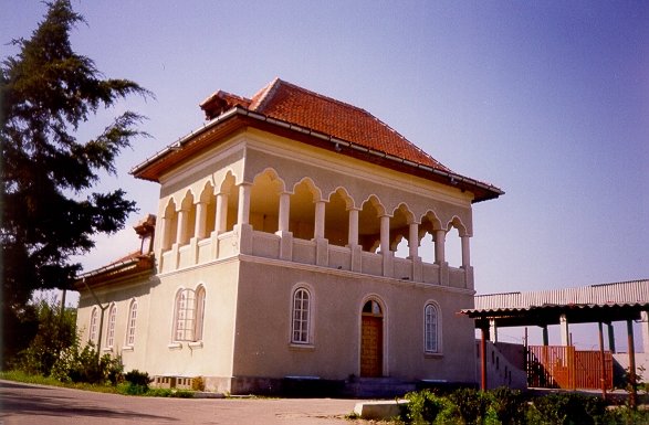 Photograph